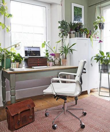 Modernus tradicinis namų biuras su kambariniais augalais ir balta biuro kėde