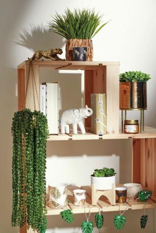 estantes de madera con plantas y adornos de imitación
