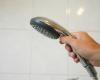 Especialista em banheiro avisa que muitos não estão limpando seus chuveiros com frequência suficiente