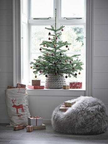 Il prossimo piccolo albero di Natale