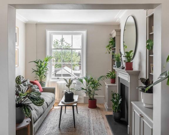obývací pokoj bude s pokojovými rostlinami