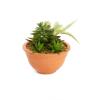 A Primark está vendendo essas incríveis plantas caseiras falsas - todas abaixo de £ 20