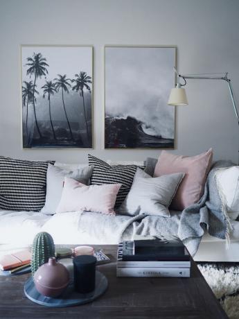 Ružičasta i siva dnevna soba s crno -bijelim otiscima