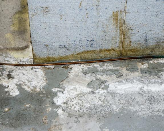Piso de concreto do porão cheio de eflorescência por causa da umidade