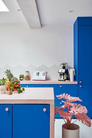 Mėlyna virtuvė