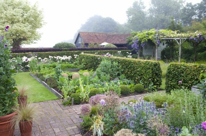 Zeleninový pozemek viktoriánského domu s clochami chránícími rostliny