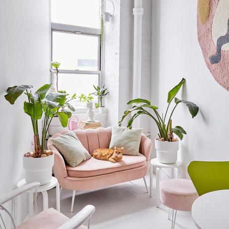 Rincón en el apartamento con un sofá de dos plazas rosa