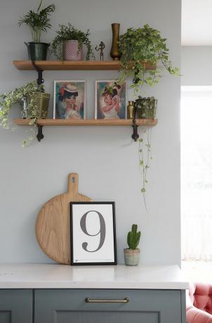 Kjøkkenhylle med hengende husplanter og vintage -trykk