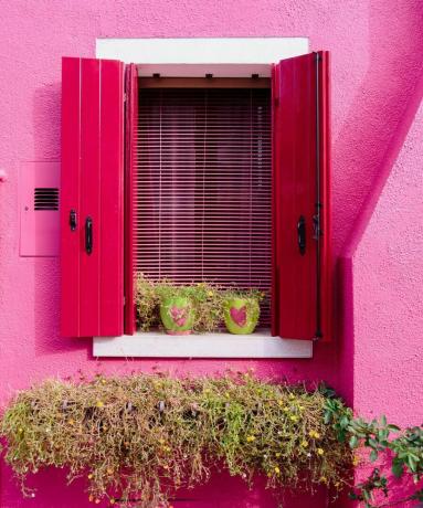 Rožinis namas su atidarytomis rožinėmis langinėmis.