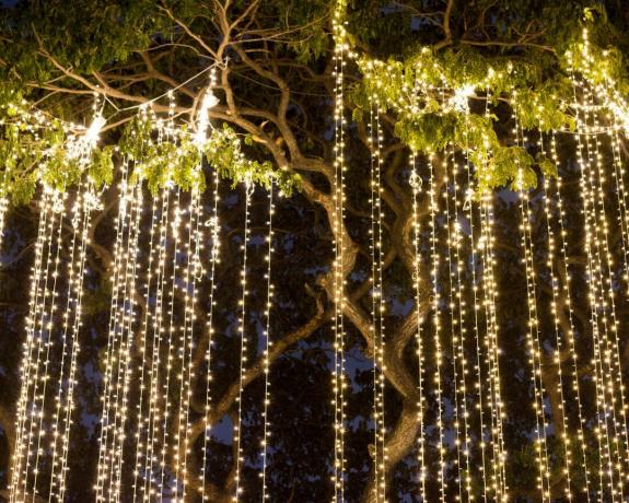 밤에 정원에 있는 나무에 매달려 있는 장식용 야외 스트링 조명