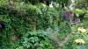 21 verticale tuinideeën - DIY-looks met plantenbakken, latwerk en meer voor kleine ruimtes