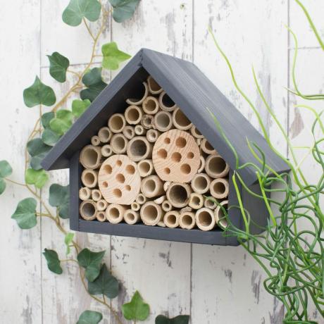 Bee Hotel z Not On The High Street