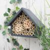 ミツバチにやさしい庭の作り方
