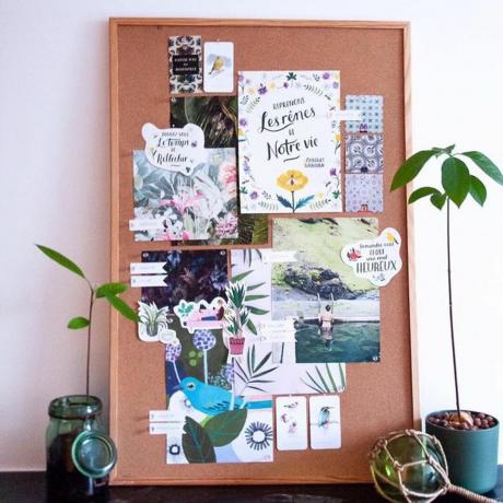 Kamštinės lentos vizualizacija su kambariniais augalais