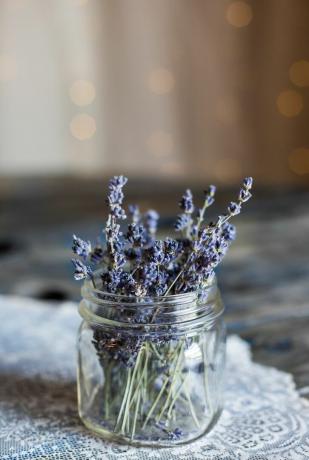 Lavendel van Heather Ford