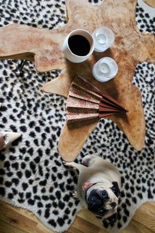 Kafijas galdiņš ar apdruku paklāju un mopsi apakšā