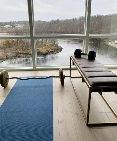 Home Gym der Designerin Taniya Nayak mit hellem Holzboden und malerischer Aussicht