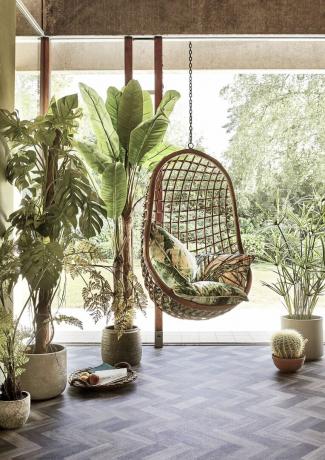 חדר שמש עם כיסא ביצים תלוי וצמחים