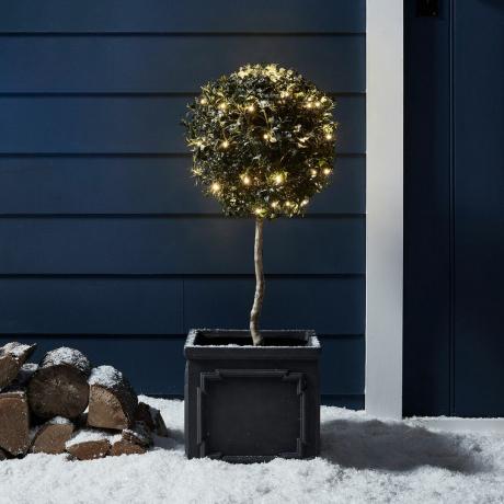 Karácsonyi fények egy szabadtéri fán, egy sötétkék külső fal mellett