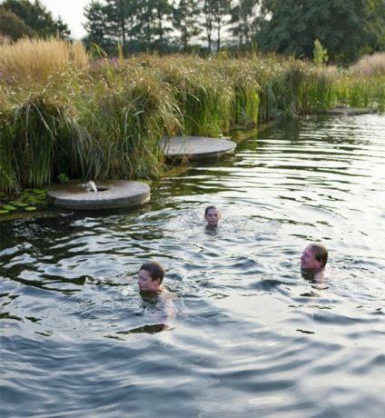 elicar_garden_pool_swimming