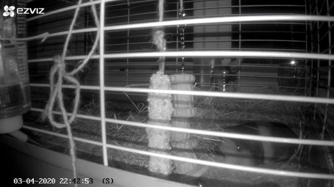 nočné videnie: Interiérová domáca bezpečnostná kamera Ezviz C6N