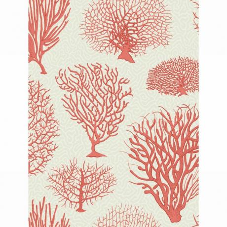 růžové korálové tapety tvoří John Lewis a partneři