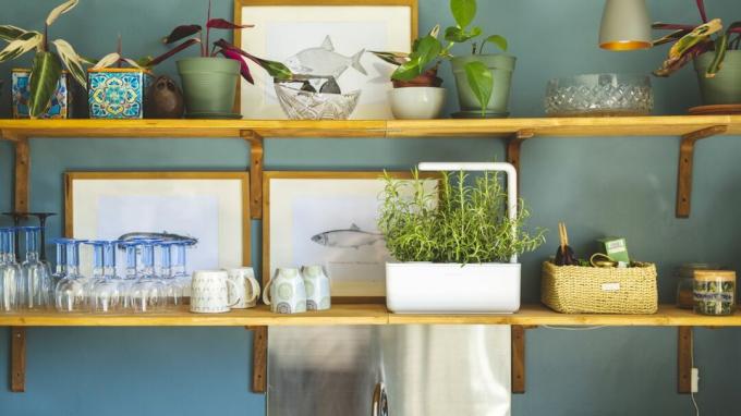Chytré zahradní výrobky, které každý majitel domu potřebuje - Click & Grow Smart Garden 3