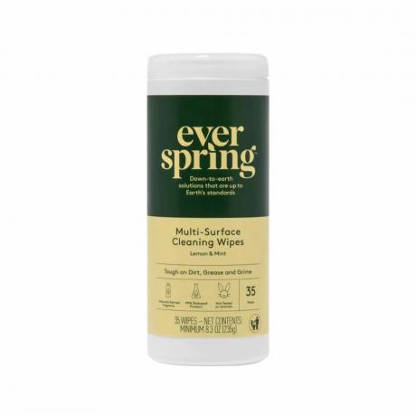 Salviettine detergenti multisuperficie Everspring