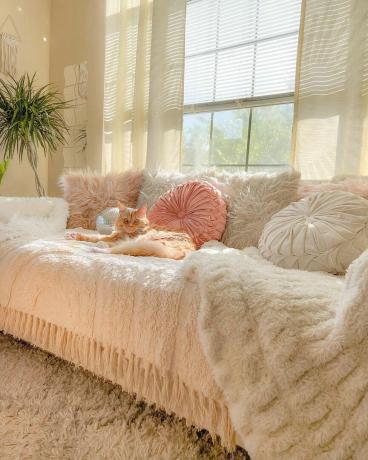 Sohva tyynyillä ja kissa