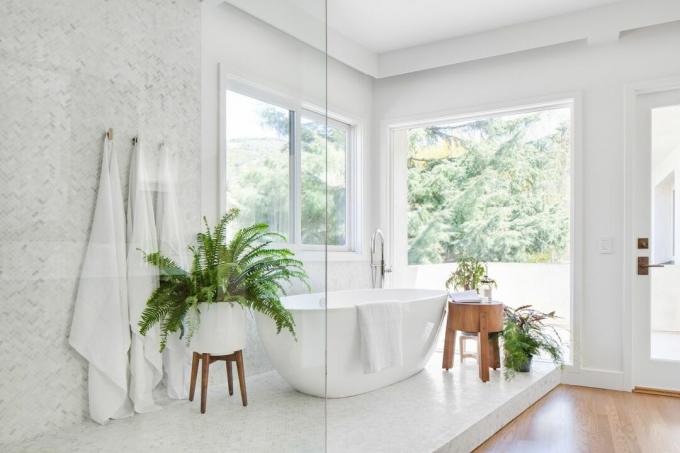 Ide kamar mandi modern: kamar mandi putih yang apik dengan tanaman rumah