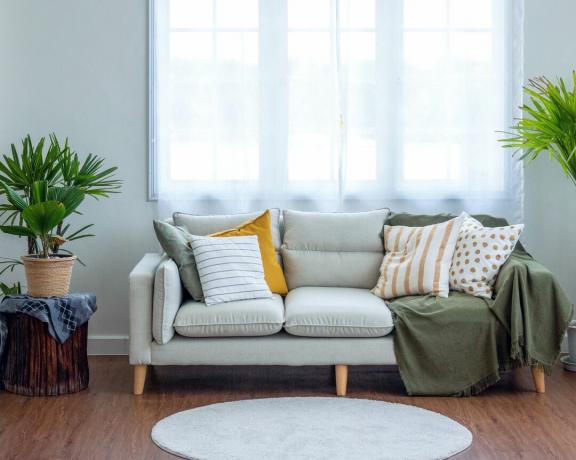 窓の前にある小さな灰色のソファ、枕と毛布と植物が横に置かれている