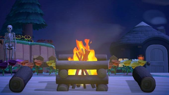 Animal Crossing: รับประทานอาหารกลางแจ้งพร้อมกองไฟ
