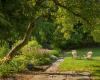 3 तरीके आपका बगीचा आपको पैसे बचा सकता है