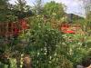 Chelsea Flower Show 2019 podkreśla znaczenie zrównoważonego ogrodnictwa