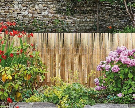 Válcovaný bambusový plot jako pozadí do zahrady v květu
