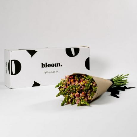 Geriausias gėlių pristatymas JK: „Bloom“ puokštė „Coral Snapdragons“
