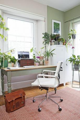 Hjemmekontor med grønnmalte vegger, rødt og hvitt teppe, grønt skrivebord, hvit skrivebordsstol og en samling potteplanter