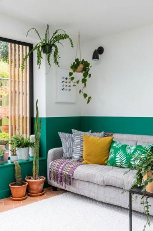 एक हरे और सफेद लिविंग रूम पेंट रंग का विचार जिसमें लटकाए गए हाउसप्लांट और पॉटेड कैक्टि के साथ ग्रे सोफा और विभिन्न प्रकार के कुशन शामिल हैं।