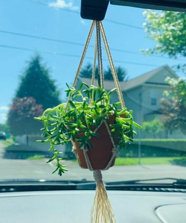 شماعات نباتات مكرامية صغيرة للسيارة ، Etsy