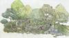 גן הדוכסית מקיימברידג 'יוצג בתערוכת הפרחים של צ'לסי - הנה הצצה