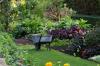Le migliori app di giardinaggio per la trasformazione del tuo giardino