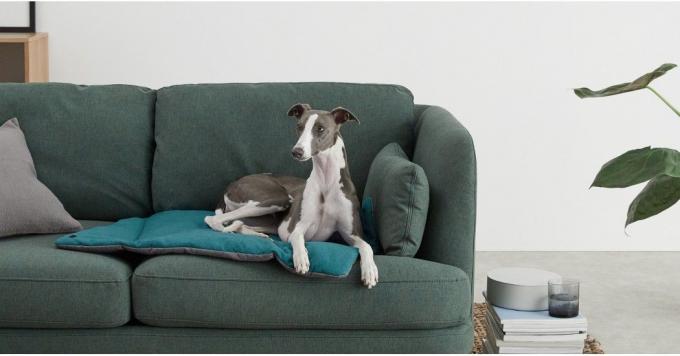 Made.com a produit une gamme élégante de lits, couvertures, bols, maisons et sacs pour animaux de compagnie