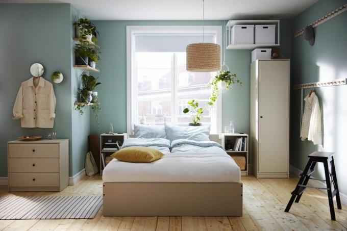 sinine magamistuba koos taimedega riiuliga