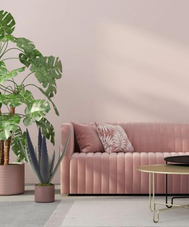 Un divano rosa velluto schiacciato in un soggiorno rosa pallido circondato da grandi piante d'appartamento.