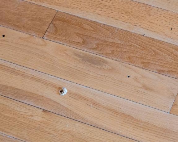 πώς να απαλλαγείτε από παράσιτα - τρύπες από ξύλο στο δάπεδο - GettyImages -1176375969