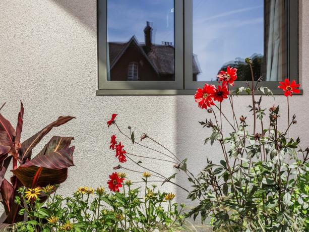 antrasit pencereleri ve çiçekleri olan bir evin görüntüsünü kapat