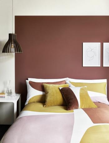 डेबेनहम्स द्वारा एक बेडरूम योजना में रंग अवरुद्ध करना