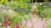 Kotedžo sodo augalai-12 gėlių, būtinų jūsų sodo aplinkoje
