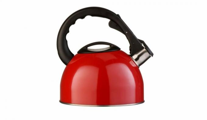 „Premier Housewares 2.5“ nerūdijančio plieno švilpiantis virdulys